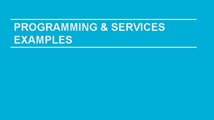 PROGRAMMING & SERVICES EXAMPLES 