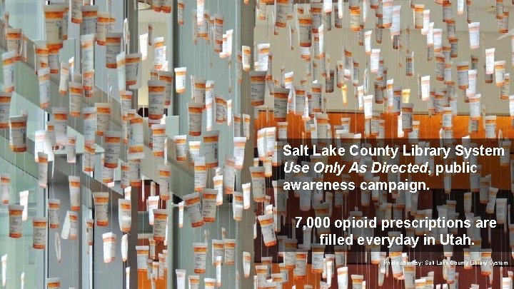 Salt Lake County Library System Use Only As Directed, public awareness campaign. 7, 000