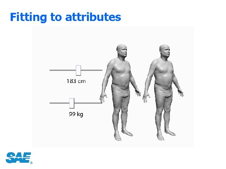 Fitting to attributes 