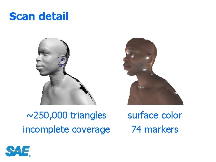 Scan detail ~250, 000 triangles incomplete coverage surface color 74 markers 