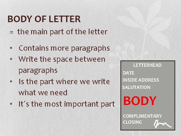 BODY OF LETTER = the main part of the letter • Contains more paragraphs