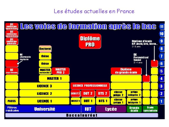 Les études actuelles en France 