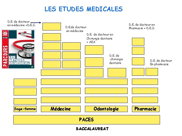 LES ETUDES MEDICALES D. E. de docteur en médecine +D. E. S. D. E.