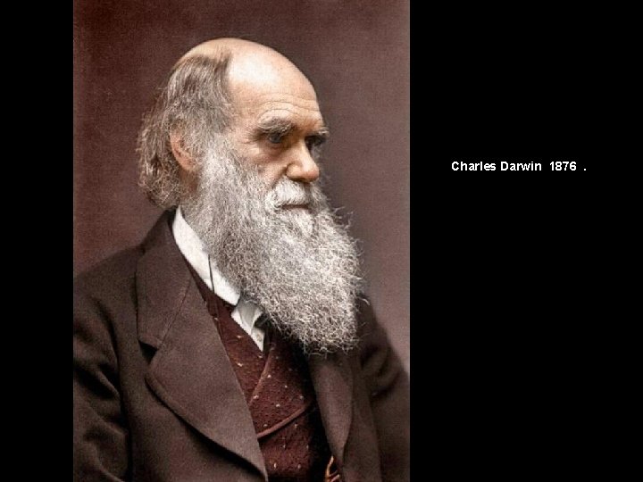 Charles Darwin 1876. 