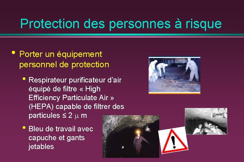 Protection des personnes à risque • Porter un équipement personnel de protection • Respirateur