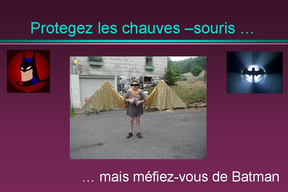 Protegez les chauves –souris … … mais méfiez-vous de Batman 