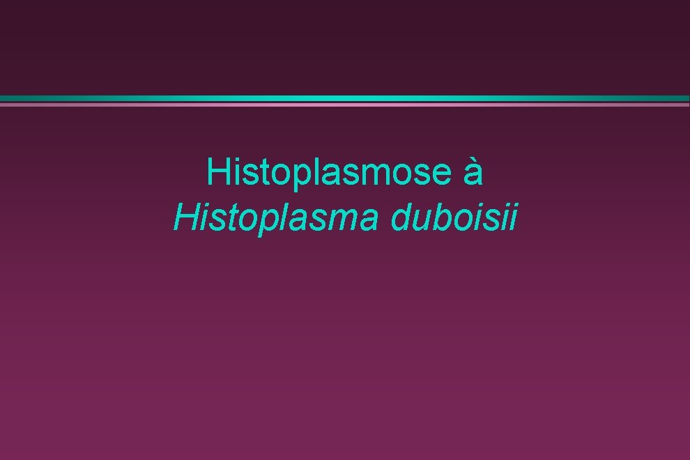 Histoplasmose à Histoplasma duboisii 
