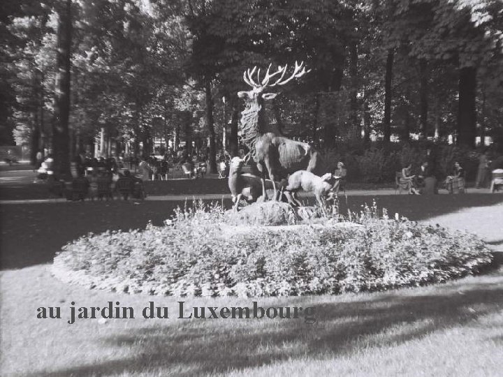 au jardin du Luxembourg 