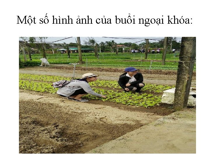 Một số hình ảnh của buổi ngoại khóa: 