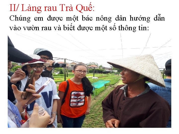 II/ Làng rau Trà Quế: Chúng em được một bác nông dân hướng dẫn