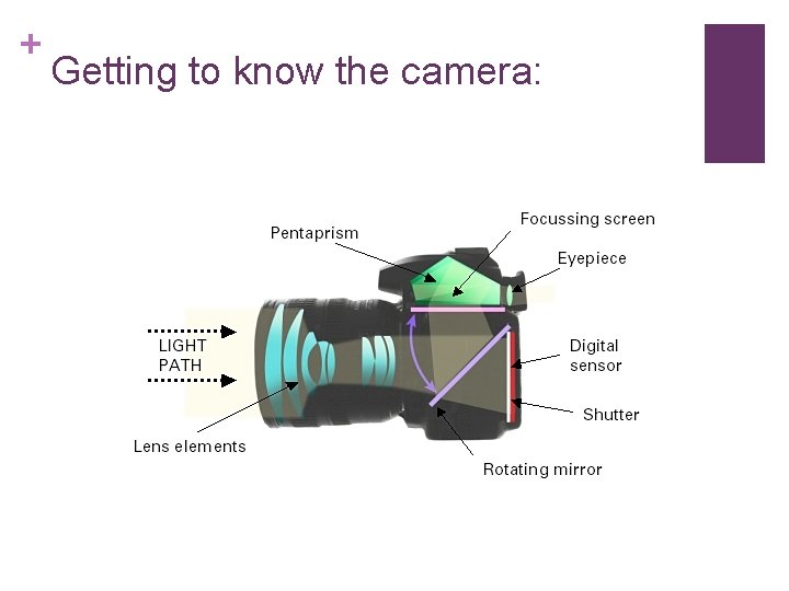+ Getting to know the camera: 