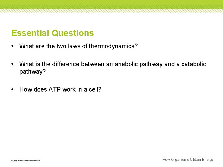 Chapter 8 Section 1 How Organisms Obtain Energy