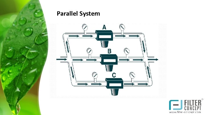 Parallel System 
