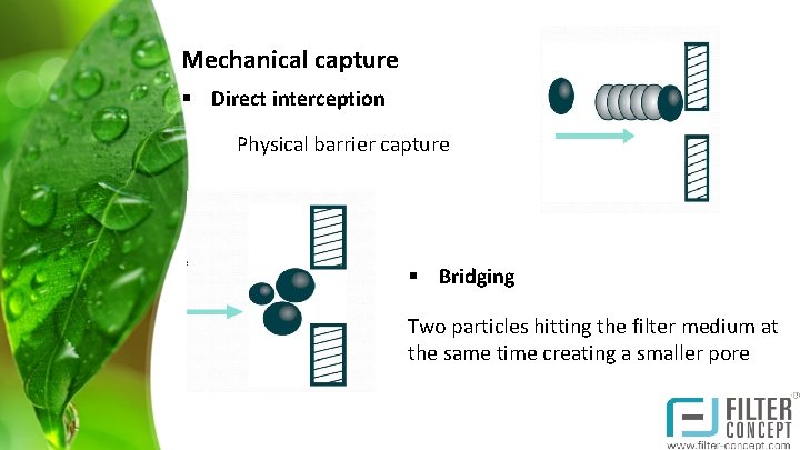 Mechanical capture § Direct interception Physical barrier capture § Bridging Two particles hitting the