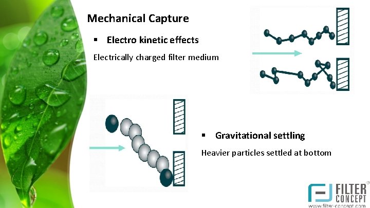 Mechanical Capture § Electro kinetic effects Electrically charged filter medium § Gravitational settling Heavier