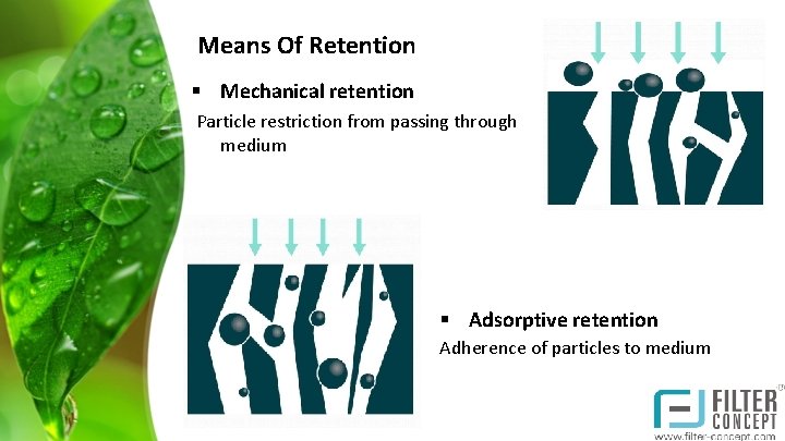 Means Of Retention § Mechanical retention Particle restriction from passing through medium § Adsorptive