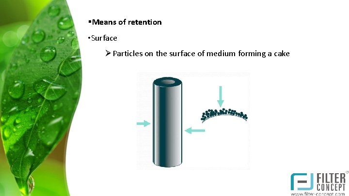 §Means of retention • Surface ØParticles on the surface of medium forming a cake