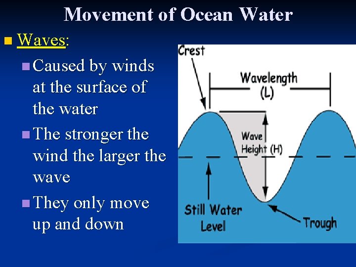 Movement of Ocean Water n Waves: n Caused by winds at the surface of