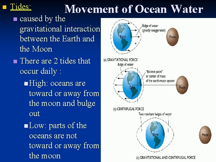 n Tides: Movement of Ocean Water n caused by the gravitational interaction between the