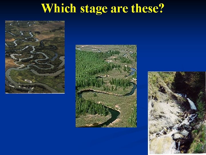 Which stage are these? 