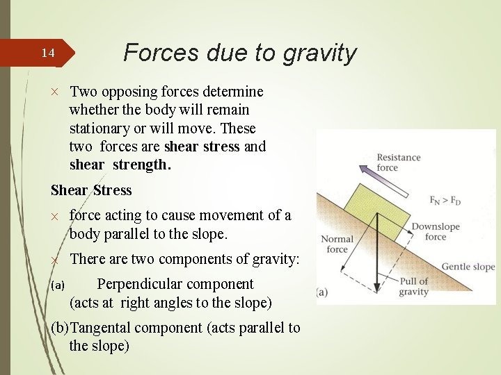 14 Forces due to gravity Two opposing forces determine whether the body will remain