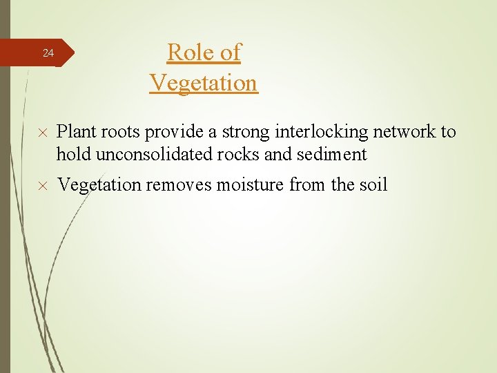 24 Role of Vegetation Plant roots provide a strong interlocking network to hold unconsolidated