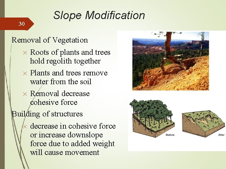 30 Slope Modification Removal of Vegetation Roots of plants and trees hold regolith together