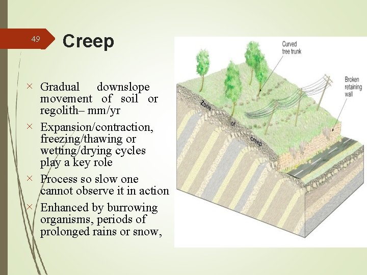 49 Creep Gradual downslope movement of soil or regolith– mm/yr Expansion/contraction, freezing/thawing or wetting/drying