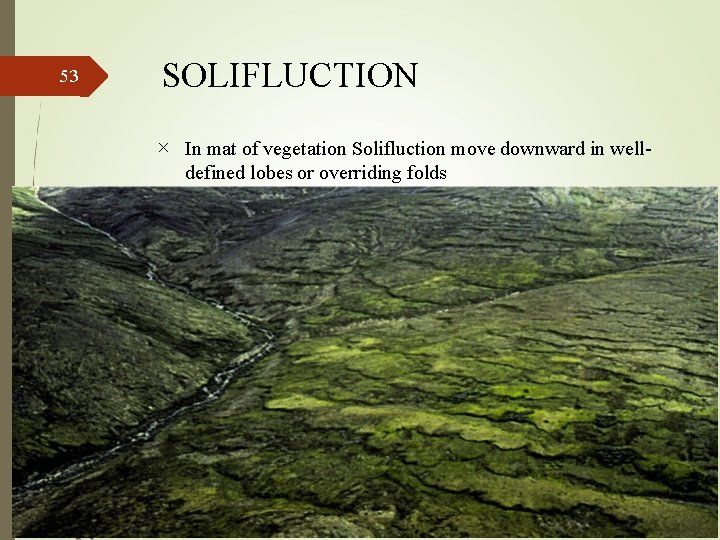 53 SOLIFLUCTION In mat of vegetation Solifluction move downward in welldefined lobes or overriding