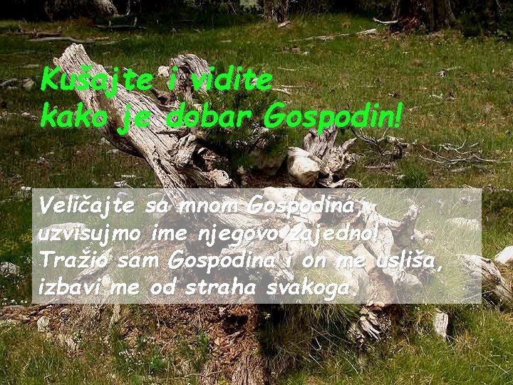 Kušajte i vidite kako je dobar Gospodin! Veličajte sa mnom Gospodina, uzvisujmo ime njegovo