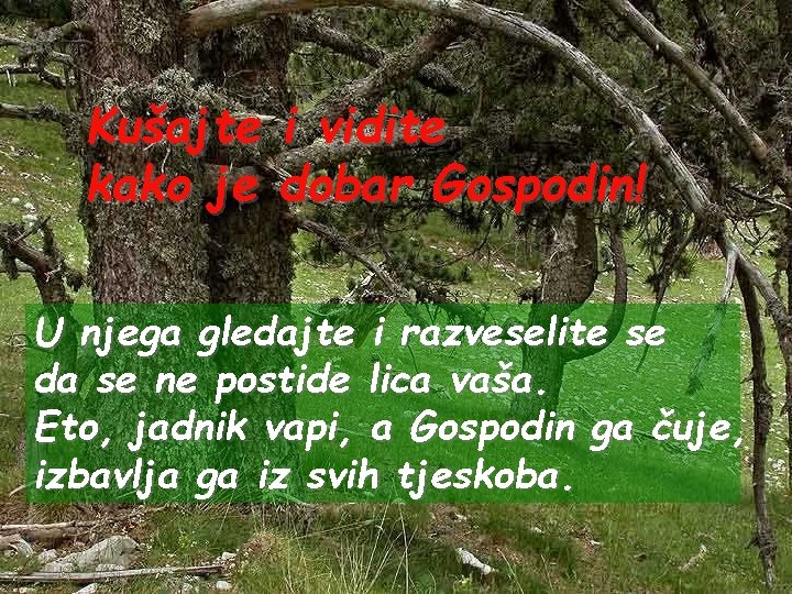 Kušajte i vidite kako je dobar Gospodin! U njega gledajte i razveselite se da