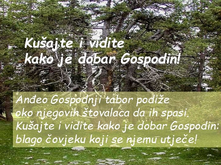 Kušajte kako je i vidite dobar Gospodin! Anđeo Gospodnji tabor podiže oko njegovih štovalaca