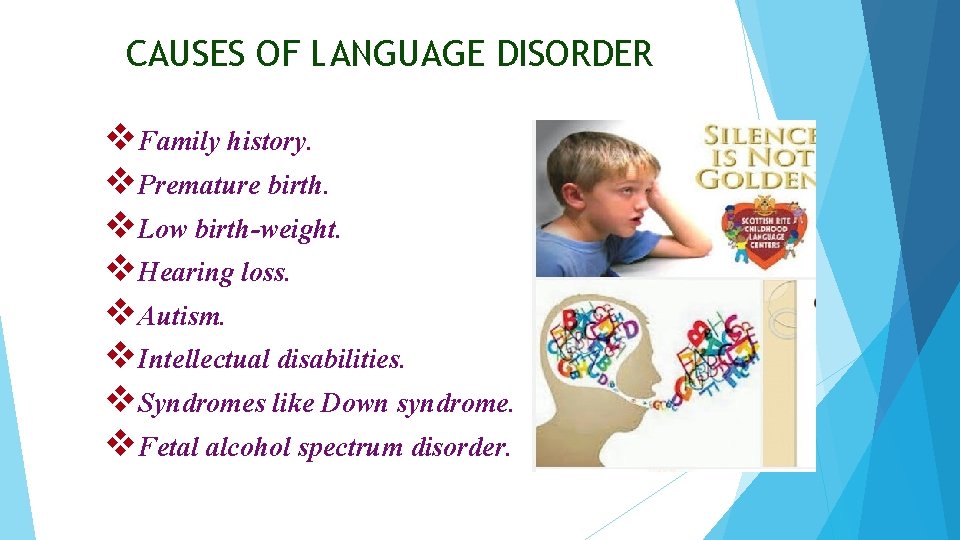 CAUSES OF LANGUAGE DISORDER v. Family history. v. Premature birth. v. Low birth-weight. v. CAUSES OF LANGUAGE DISORDER v. Family history. v. Premature birth. v. Low birth-weight. v.
