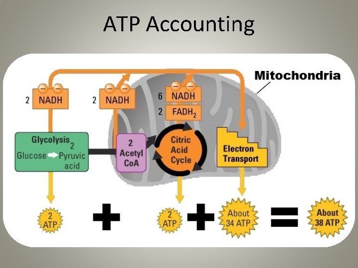 ATP Accounting 