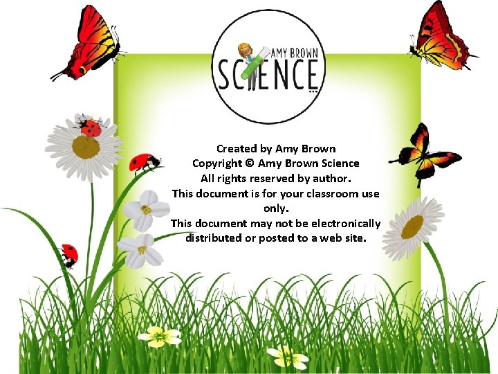 Created by Amy Brown Copyright © Amy Brown Science All rights reserved by author.