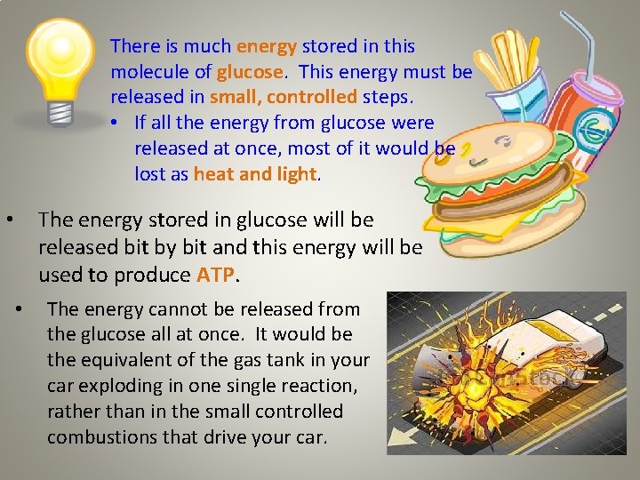 There is much energy stored in this molecule of glucose. This energy must be