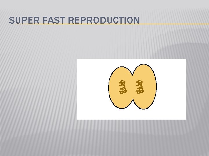 SUPER FAST REPRODUCTION 