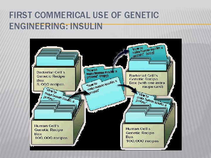 FIRST COMMERICAL USE OF GENETIC ENGINEERING: INSULIN 