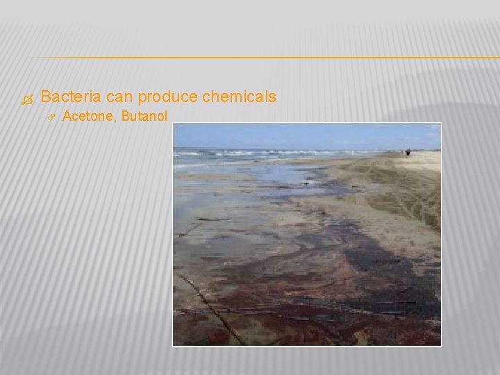  Bacteria can produce chemicals Acetone, Butanol 