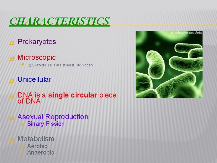 CHARACTERISTICS Prokaryotes Microscopic (Eukaryotic cells are at least 10 x bigger) Unicellular DNA is