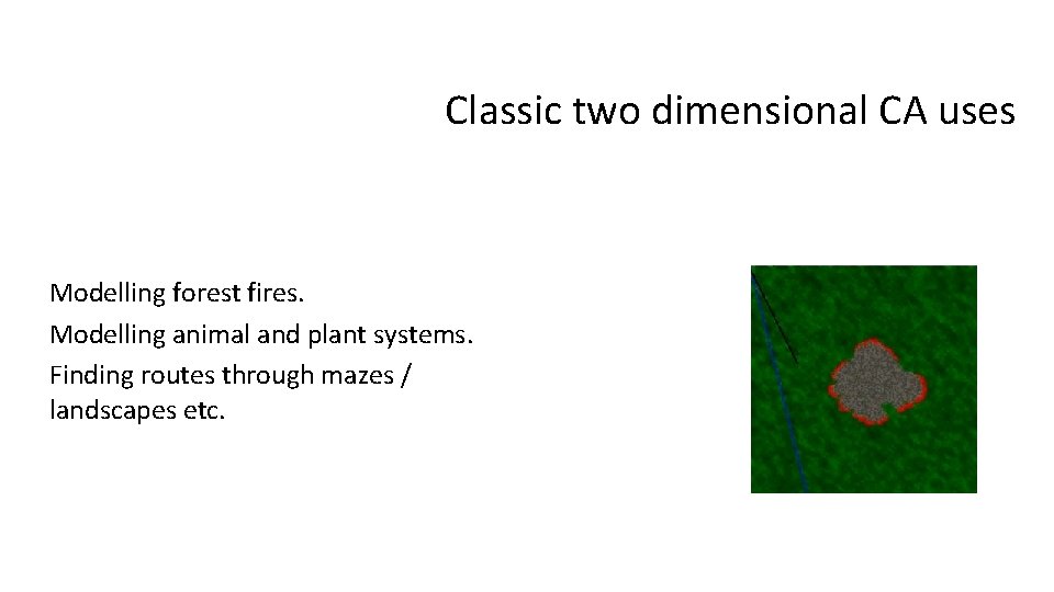 Classic two dimensional CA uses Modelling forest fires. Modelling animal and plant systems. Finding