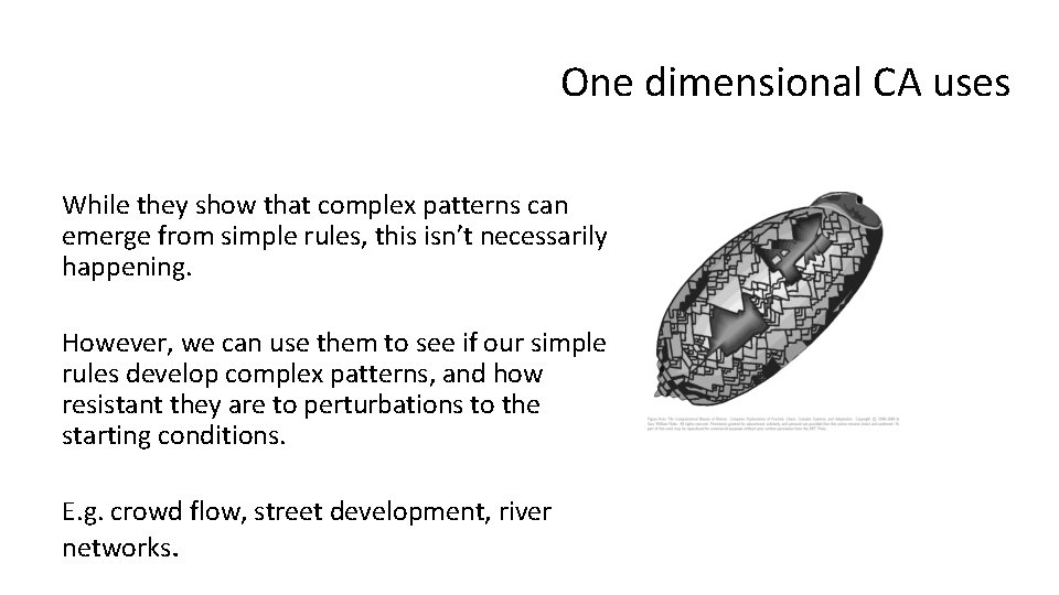 One dimensional CA uses While they show that complex patterns can emerge from simple