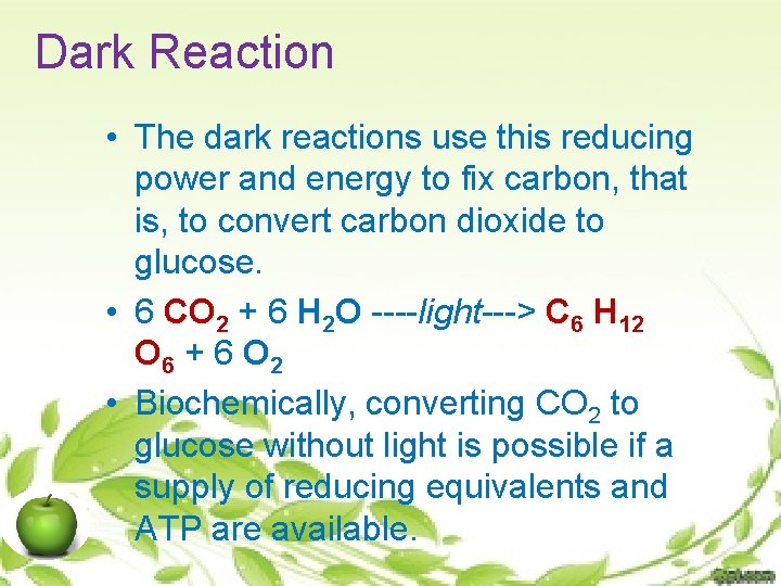 Dark Reaction • The dark reactions use this reducing power and energy to fix
