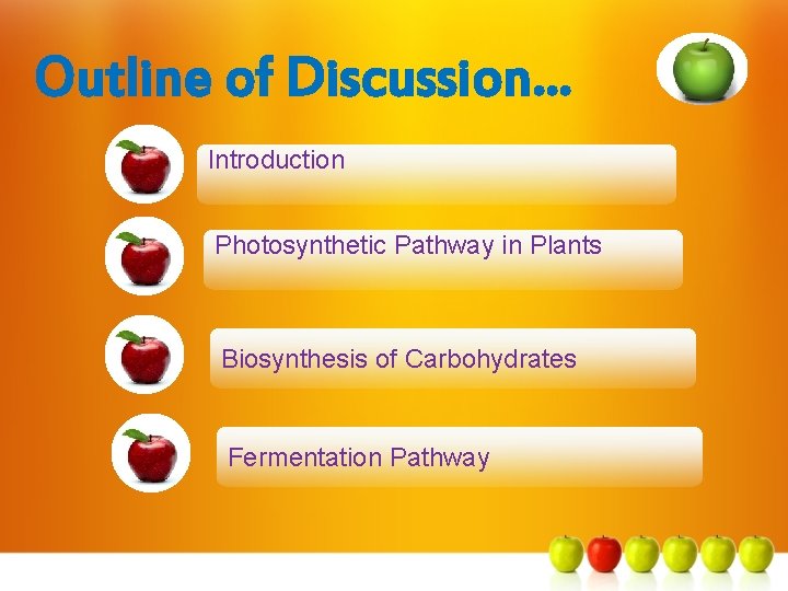 Outline of Discussion… Introduction Photosynthetic Pathway in Plants Biosynthesis of Carbohydrates Fermentation Pathway 