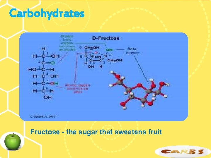 Carbohydrates Fructose - the sugar that sweetens fruit 