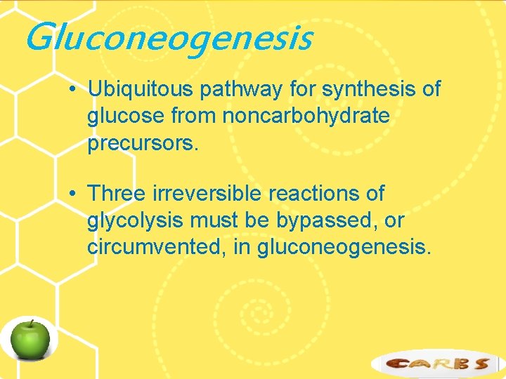 Gluconeogenesis • Ubiquitous pathway for synthesis of glucose from noncarbohydrate precursors. • Three irreversible