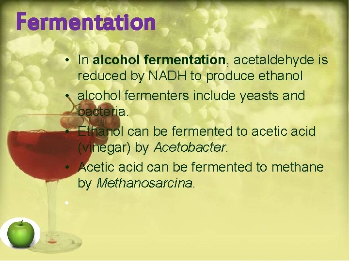 Fermentation • In alcohol fermentation, acetaldehyde is reduced by NADH to produce ethanol •