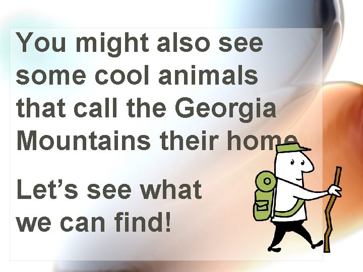 You might also see some cool animals that call the Georgia Mountains their home.