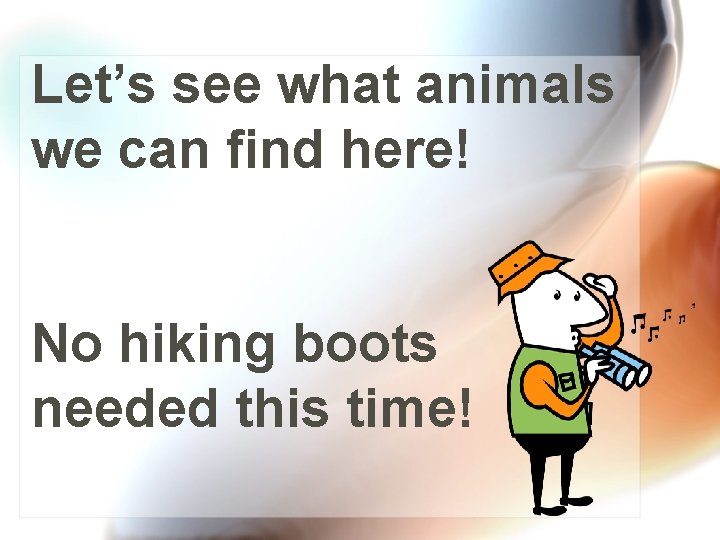 Let’s see what animals we can find here! No hiking boots needed this time!