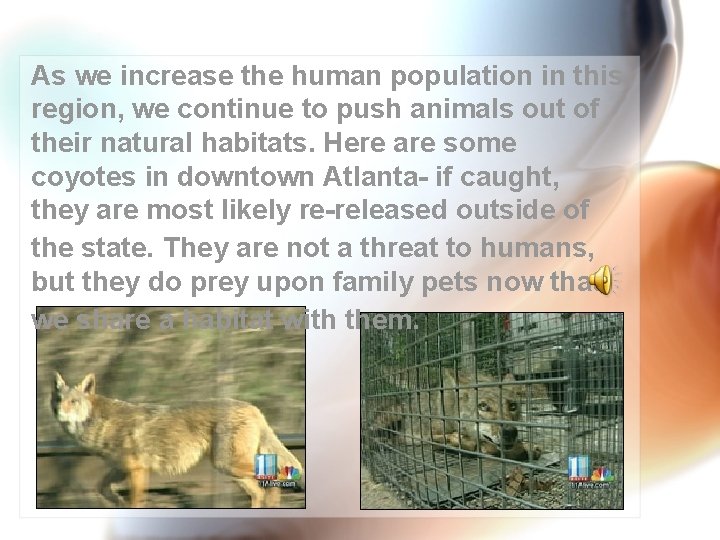 As we increase the human population in this region, we continue to push animals